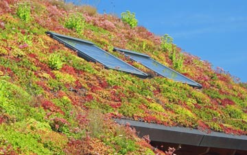 Brough With St Giles living roof systems