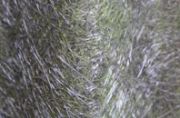 Brough With St Giles fibreglass roof work